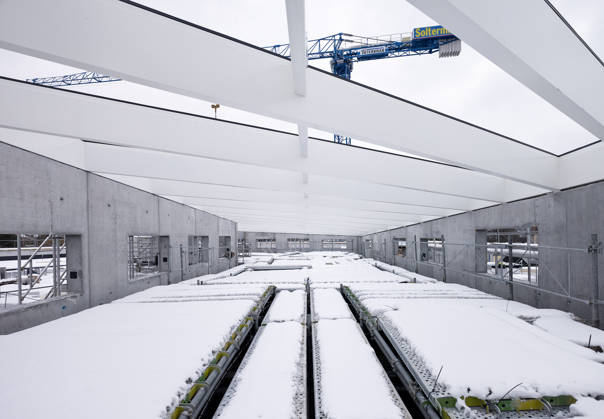 E15541 Alpa 049179p SCREEN